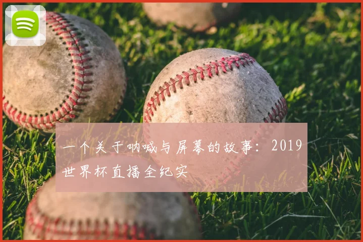 一个关于呐喊与屏幕的故事：2019世界杯直播全纪实