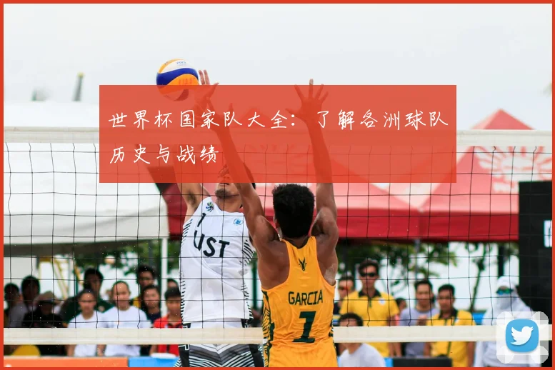 世界杯国家队大全：了解各洲球队历史与战绩