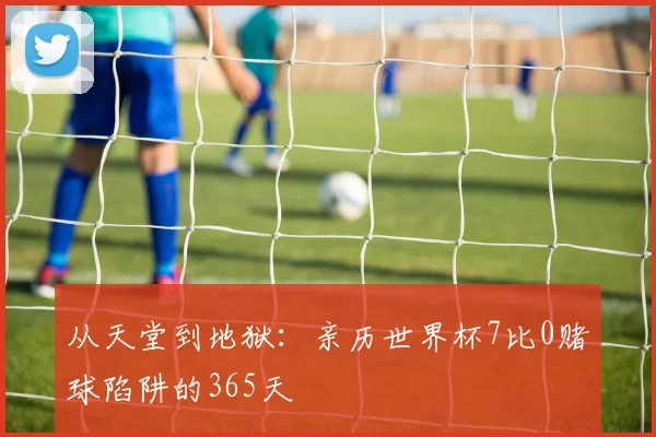 从天堂到地狱：亲历世界杯7比0赌球陷阱的365天