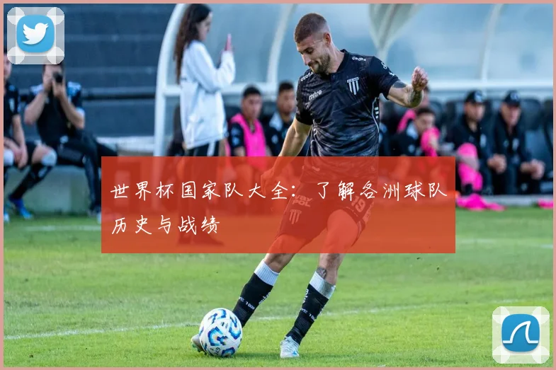 世界杯国家队大全：了解各洲球队历史与战绩