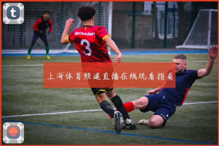 上海体育频道直播在线观看指南
